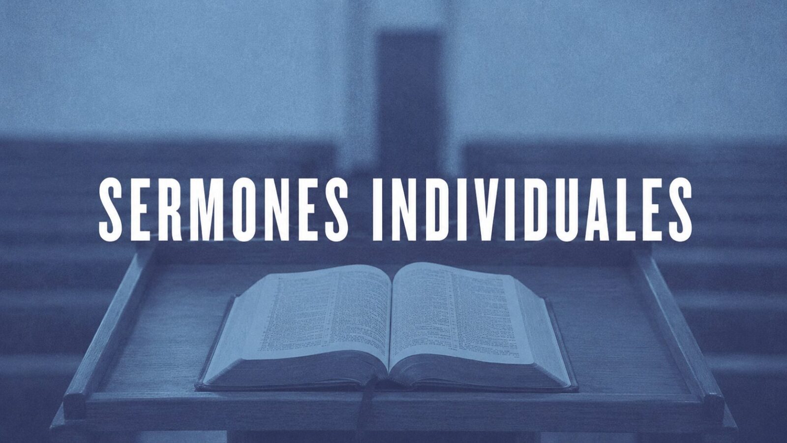 Sermones individuales